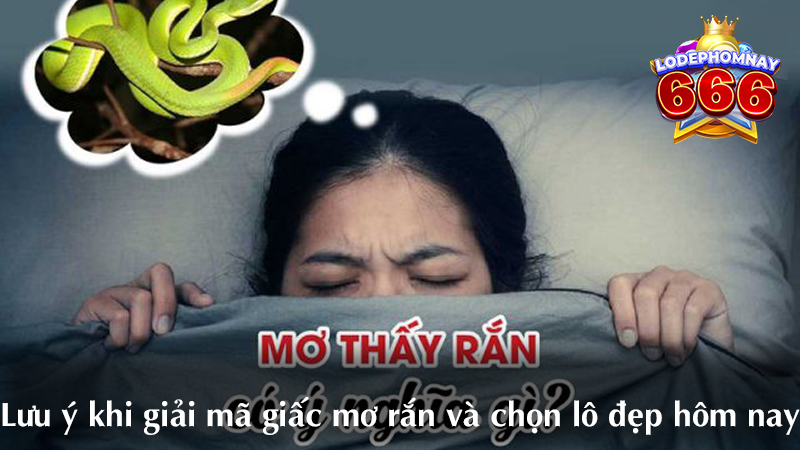 Giải mã giấc mơ thấy rắn & lô đẹp hôm nay – con số may mắn dự đoán