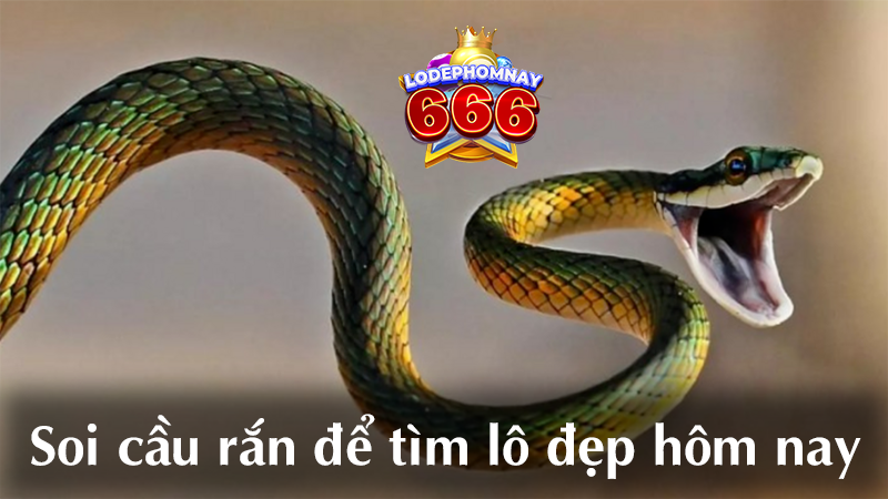 Giải mã giấc mơ thấy rắn & lô đẹp hôm nay – con số may mắn dự đoán